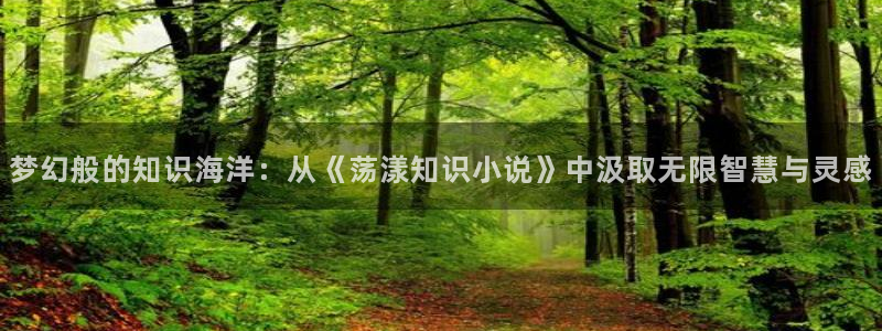 纵横中文网董事长