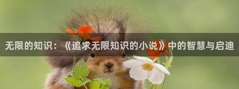 纵横中文网'