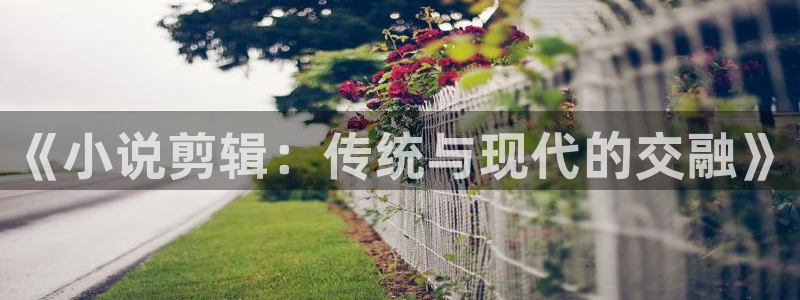 阴脉先生纵横中文网