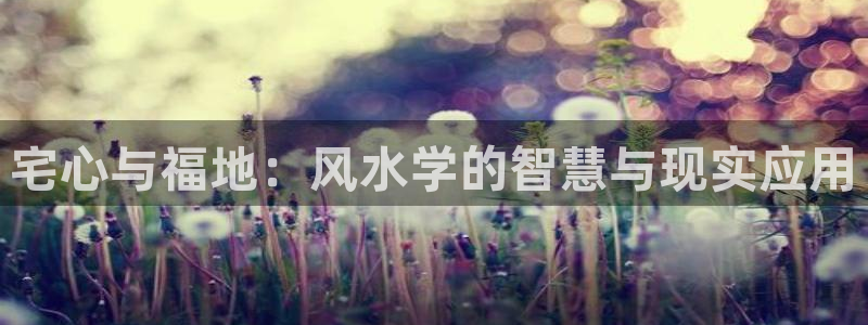 纵横中文网官